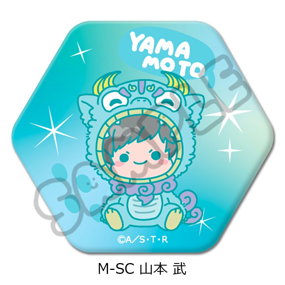 TVアニメ『家庭教師ヒットマンREBORN!』第2弾 六角形缶バッジM-SC