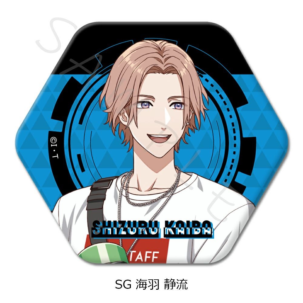 ライドカメンズ』第2弾 六角形缶バッジ SG (海羽 静流) | ビビット