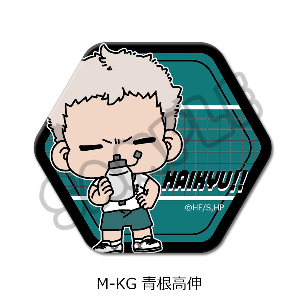ハイキュー!!」第10弾 六角形缶バッジ(mochocho) M-KG(青根高伸)【予約