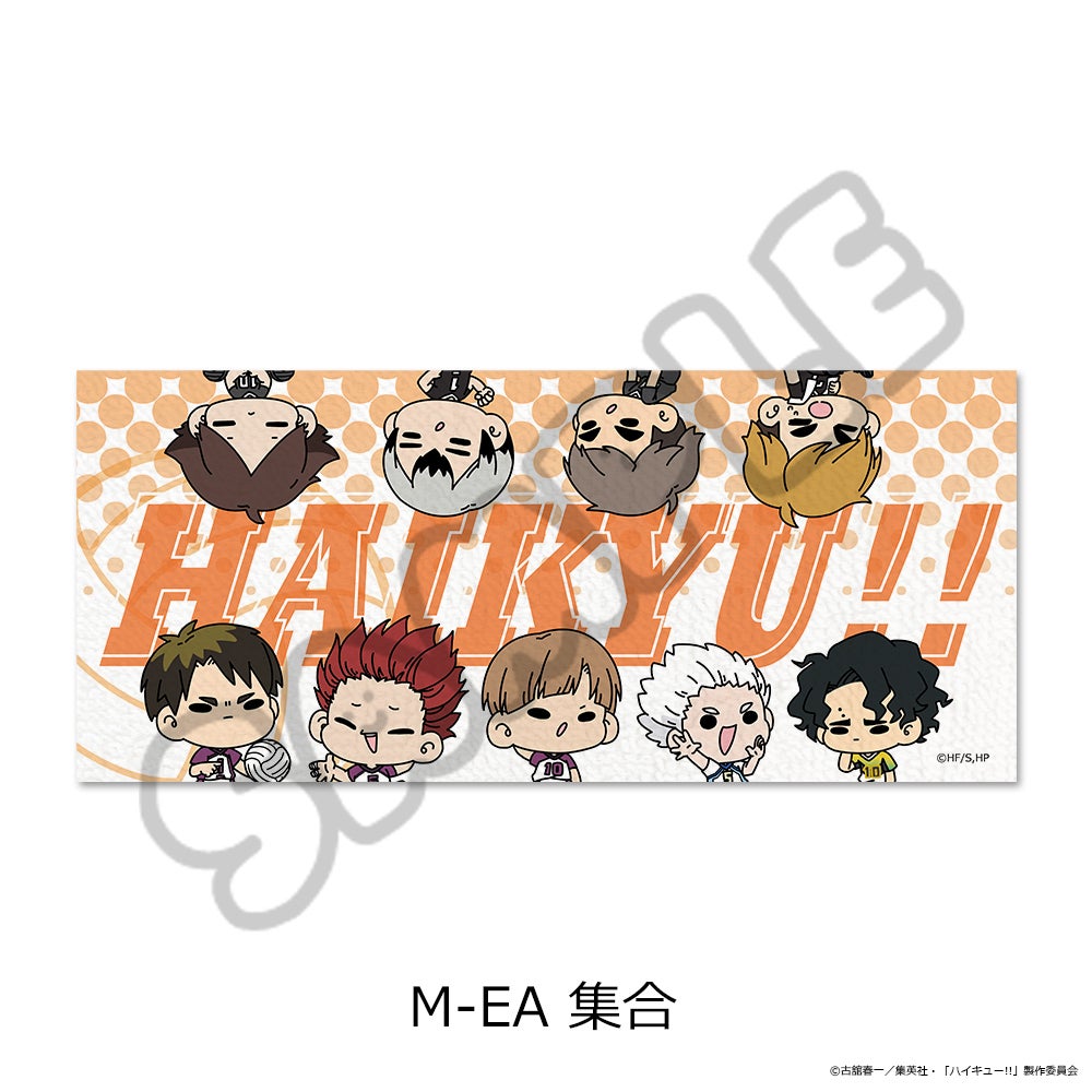 ハイキュー　タオル　まとめ売り　11点 ハイキュー!!」第11弾 フェイスタオル(mochocho) M-EA(集合)【予約