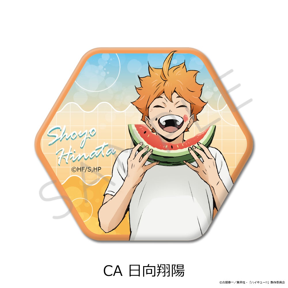 ハイキュー!!」第13弾 六角形缶バッジ CA(日向翔陽)【予約】 | ビビット