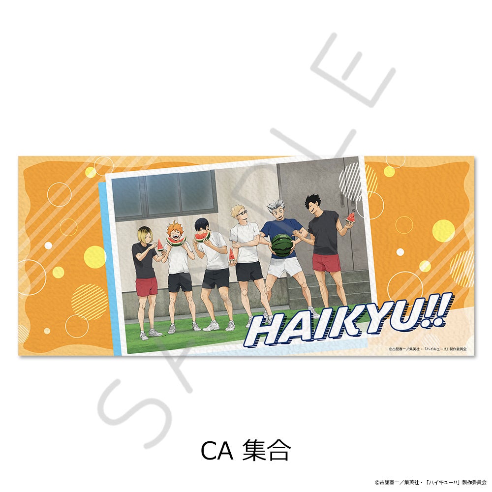 ハイキュー!!」第13弾 フェイスタオル CA(集合)【予約】 | ビビット